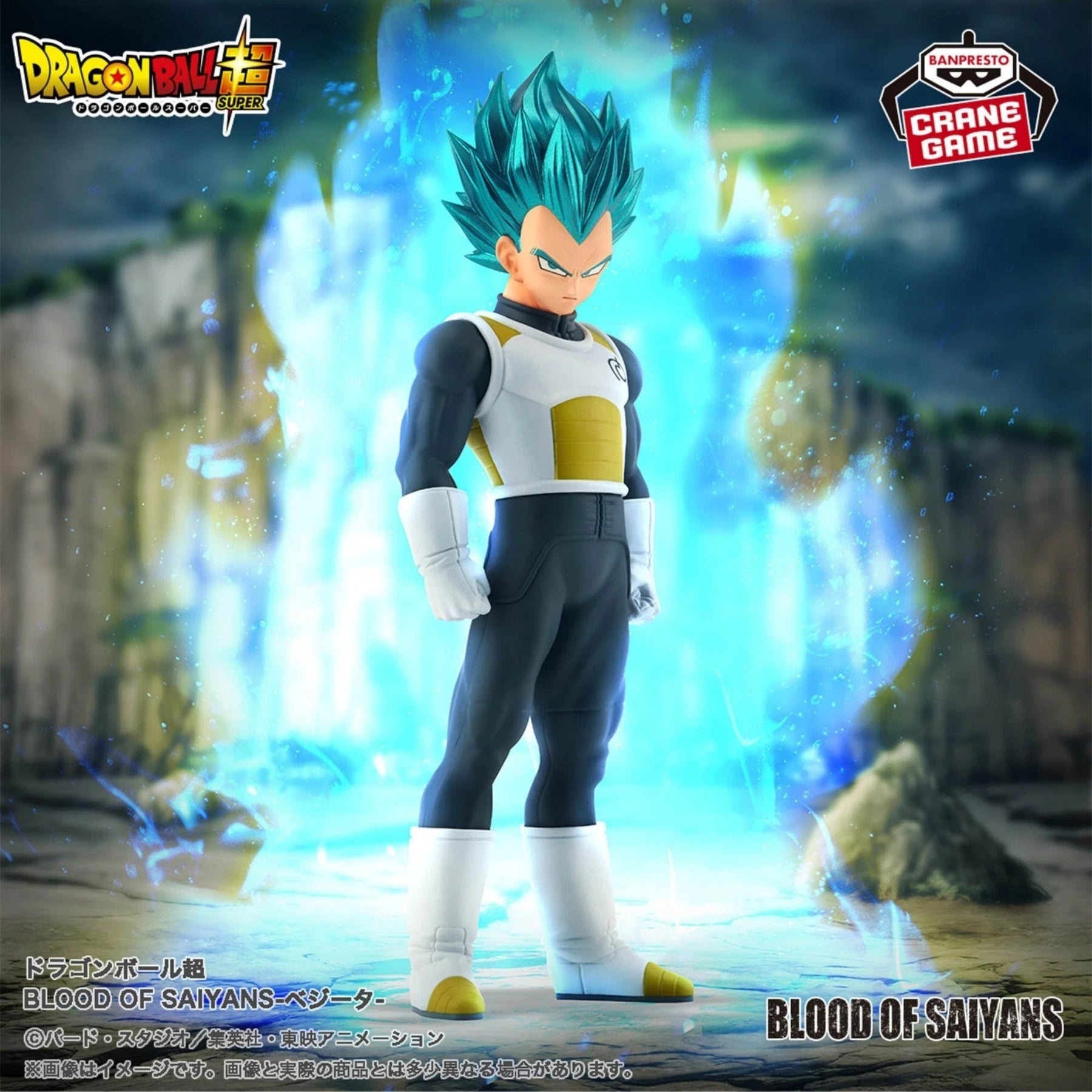 Vegeta – Blood of Saiyans – Dragon Ball Super – Banpresto